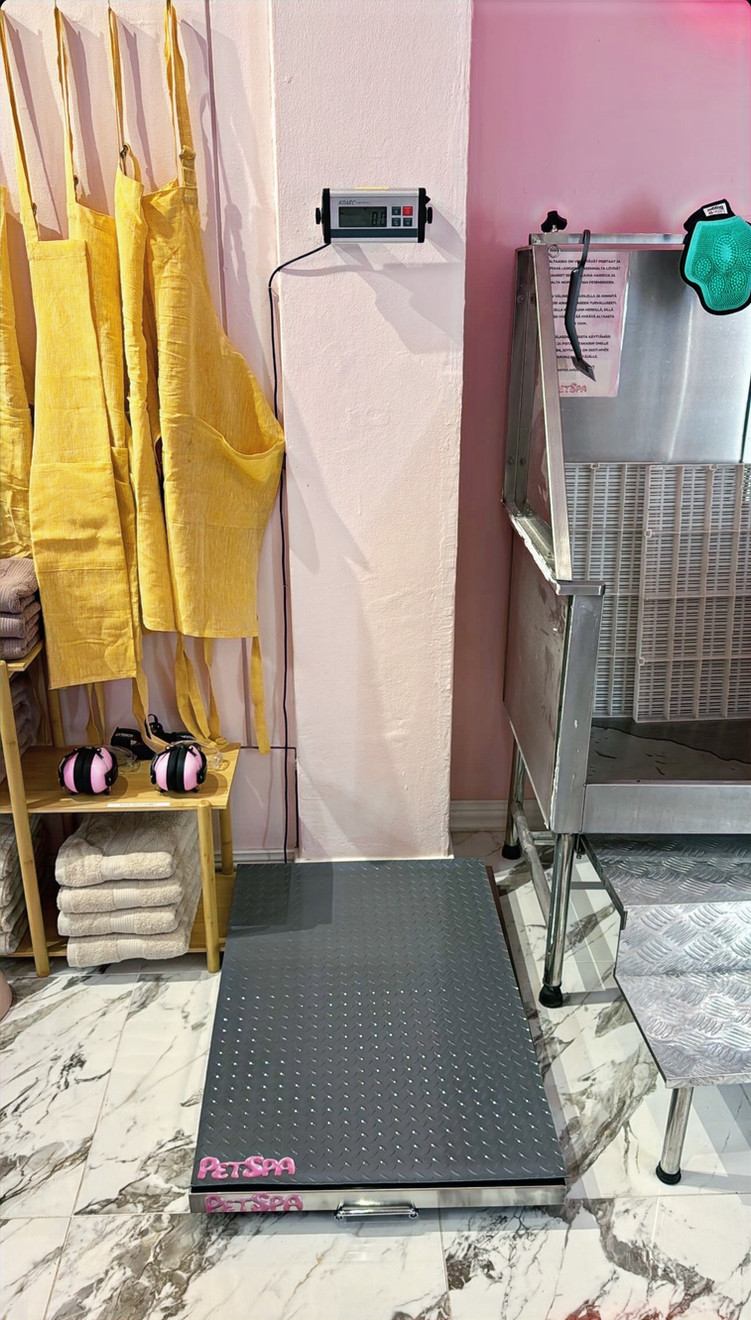 Eläinvaaka, paino, painonnousu ja lasku