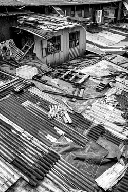 City Life
城市生活
都市生活