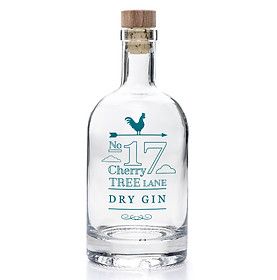 Botella de ginebra de vidrio