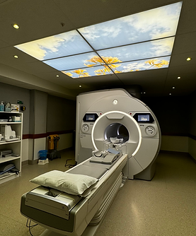 Commercial Solutions