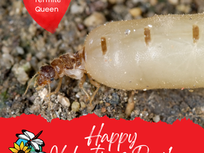 Happy Valentines Day!