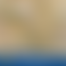 Invasive Species Awareness Week Day 1: Prioritization and Rush Skeletonweed