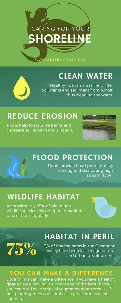 Caring for Your Shoreline Infographic.pn