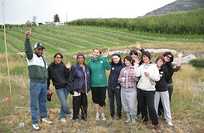 Kambo Volunteers Habitat Enhancement in Cherry Orchard