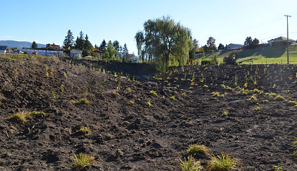 Radies excavation00063.JPG