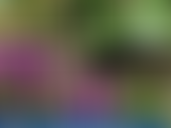 Invasive Species Awareness Week Day 2: Bio-control and Purple Loosestrife