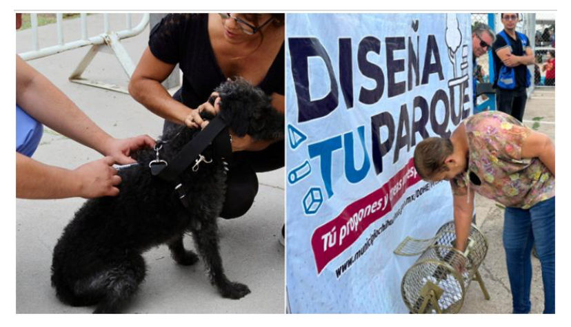 Hoy servicio de vacunación para tus mascotas en Parque Villas del Rey