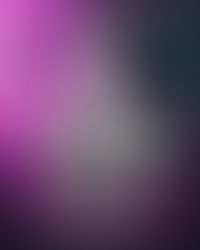 Neton Vega viene al Palenque Santa Rita Chihuahua