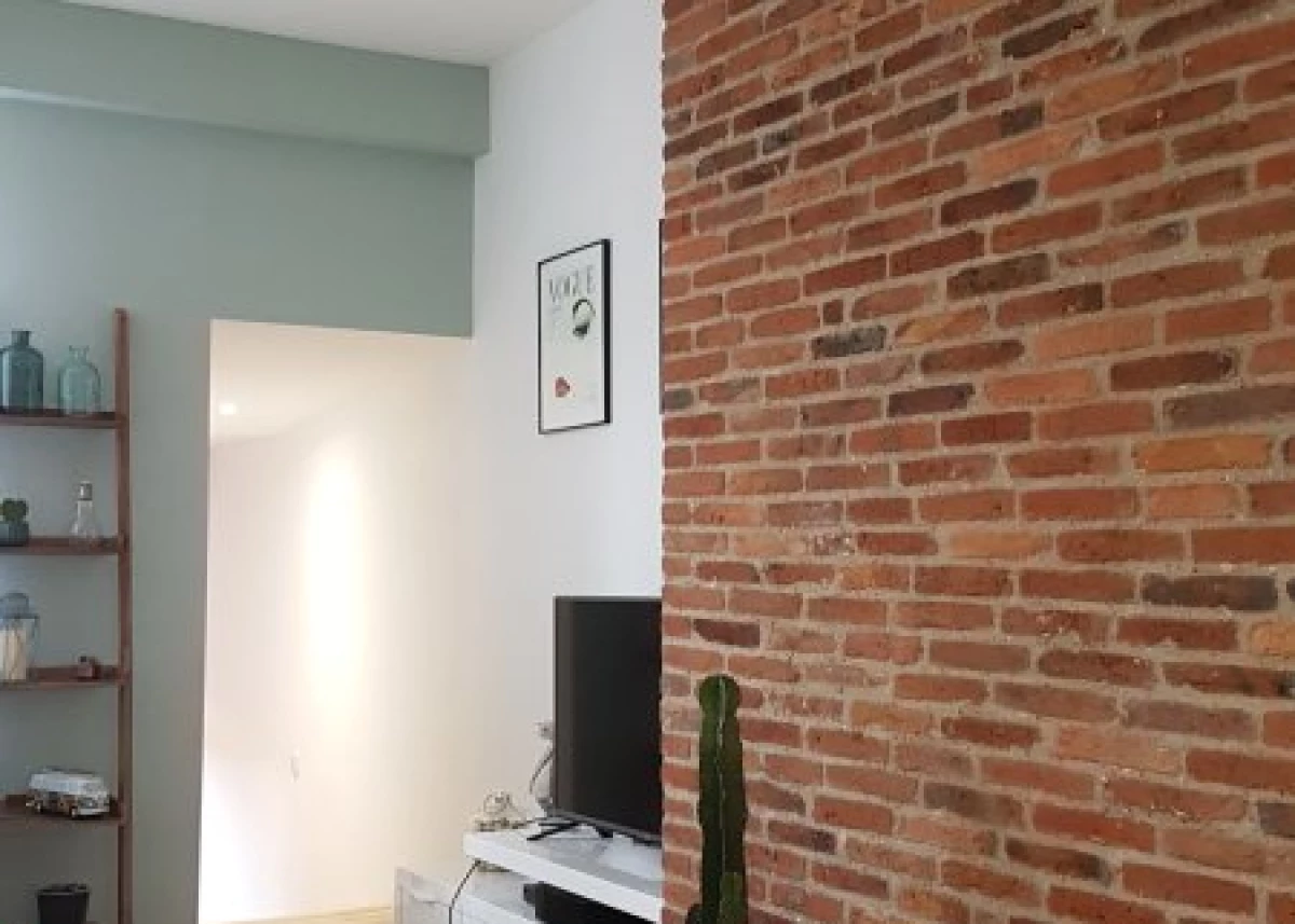 Brique-anciene- Terre-cuite-Vestiges-de-France