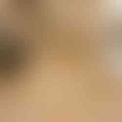 Dakke-anciene- Terre-cuite-Vestiges-de-France