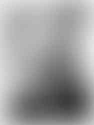 Le Portrait de Hannes Wettstein Designer zurichois