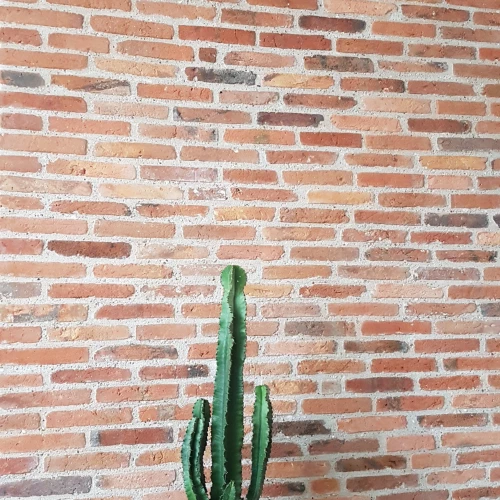 Brique-anciene- Terre-cuite-Vestiges-de-France