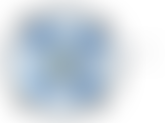 Solvation Shell in Li-ion Cells