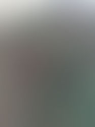 海が良くなってきました