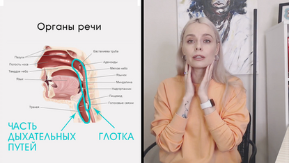 Органы речи и резонаторы в формировании тембра, материал курса «Звукоизвлечение 3 часть. Резонаторы, тембр» Юлии Кантонистовой