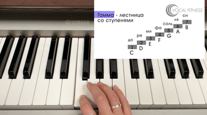 Гамма-лестница со ступенями для изучения теории музыки, материал курса «Теория музыки. Базовый» Юлии Кантонистовой