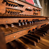 Pipe Organ