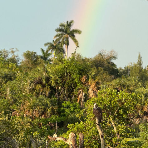 Rainbow over Randall Research Trail