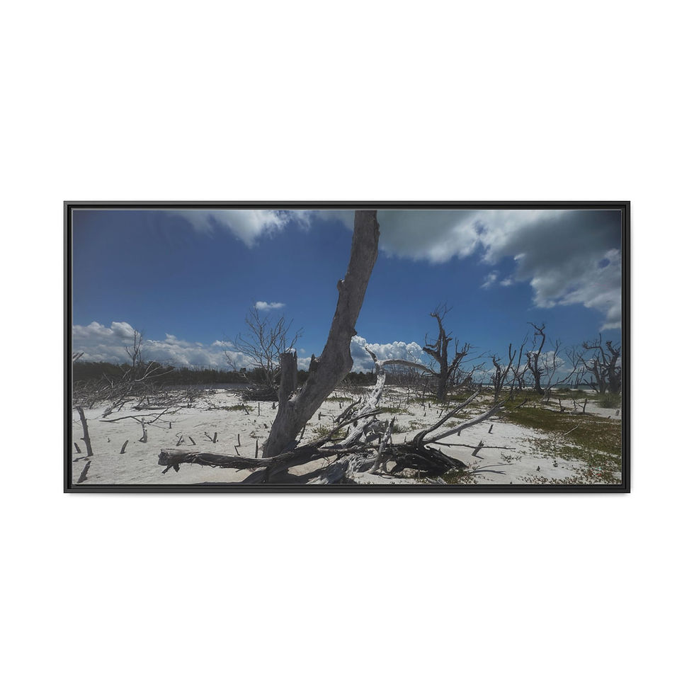 Thumbnail: Dramatic Beach Scene