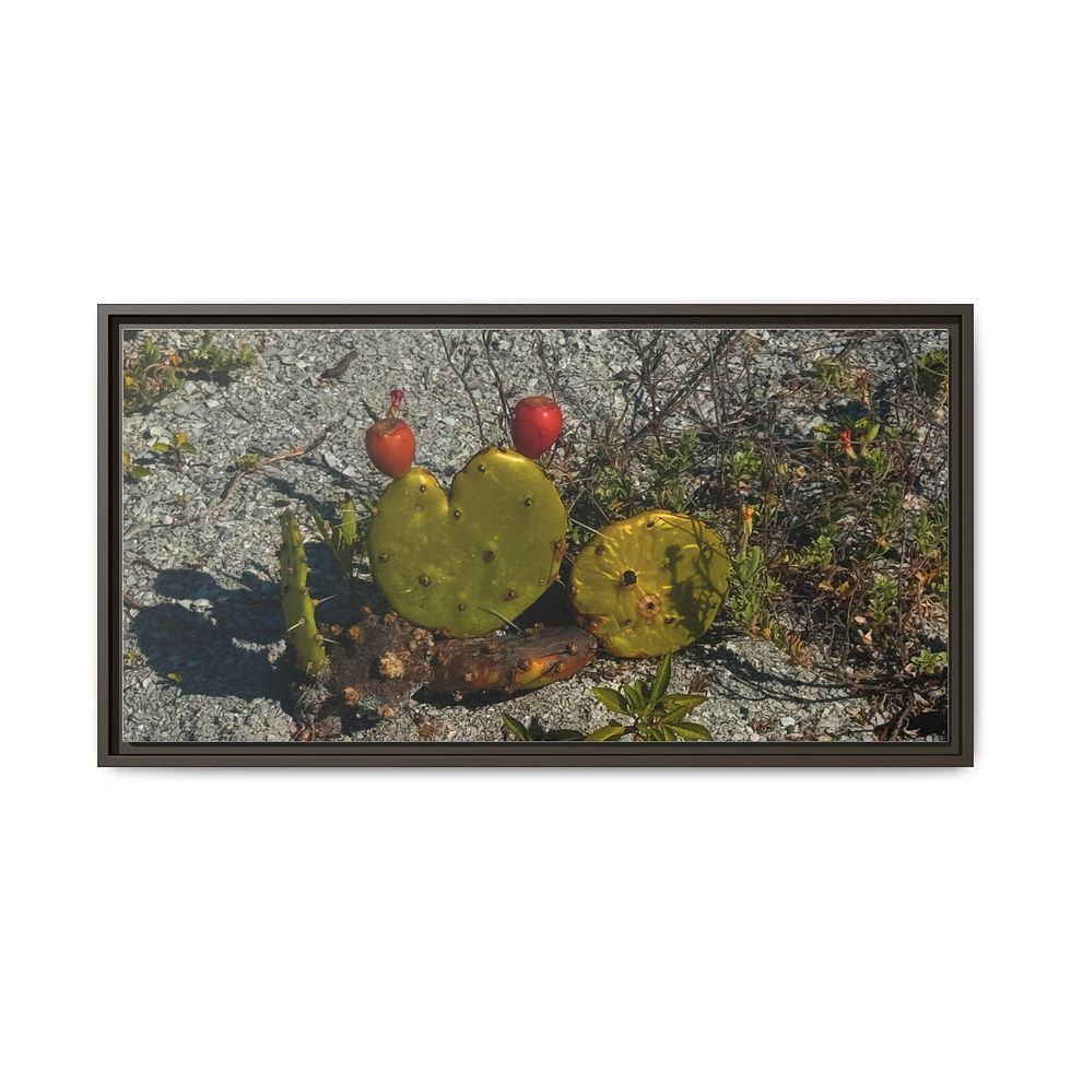 Thumbnail: Prickly Pear Cactus Matte Framed Canvas Print