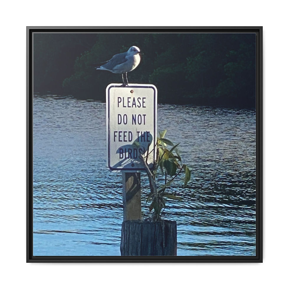 Thumbnail: Wall Art Canvas