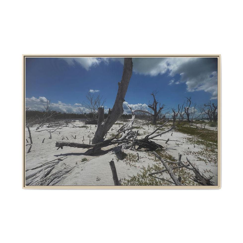 Thumbnail: Dramatic Beach Scene