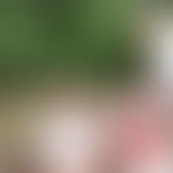 You're His Witness To Your Generation - December 1st 2024