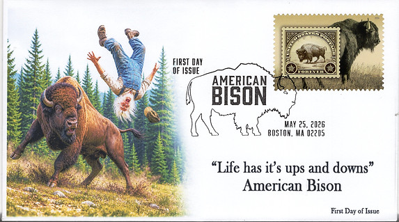 26-275 American Bison Flip.jpg