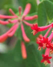 Screenshot 2025-07-25 at 11.52_edited.jp