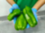 Chile Verde