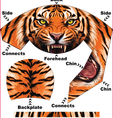 Striped-Phantom-#5.jpg