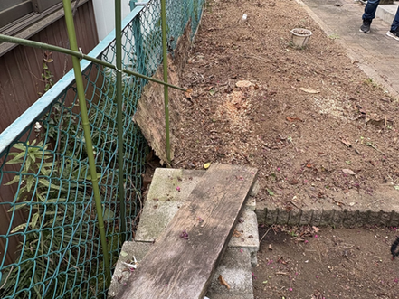 どんなお庭もスッキリ✨