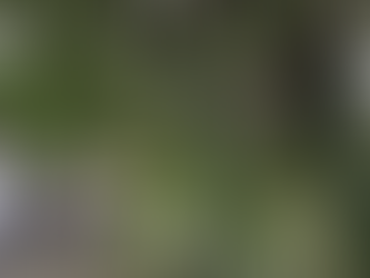 ビフォーアフター