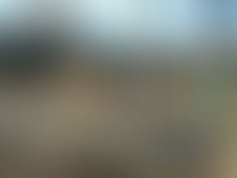 èåãã¹ã¿ãŒãæ©ããã§ãâŒïž