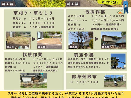 草刈り🌱伐採🌲