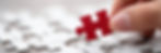 hand holding a red piece of puzzle .jpg