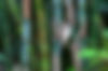 042321_0000_Layer 5.jpg