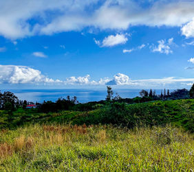 Ocean view from Kalopa land lot