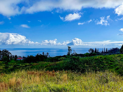 Ocean view from Kalopa land lot