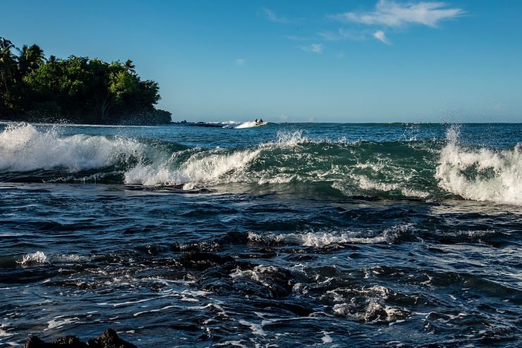 Waves crash along a tropical shoreline with palm trees, while tiny surfers ride a swell under a clear blue sky.