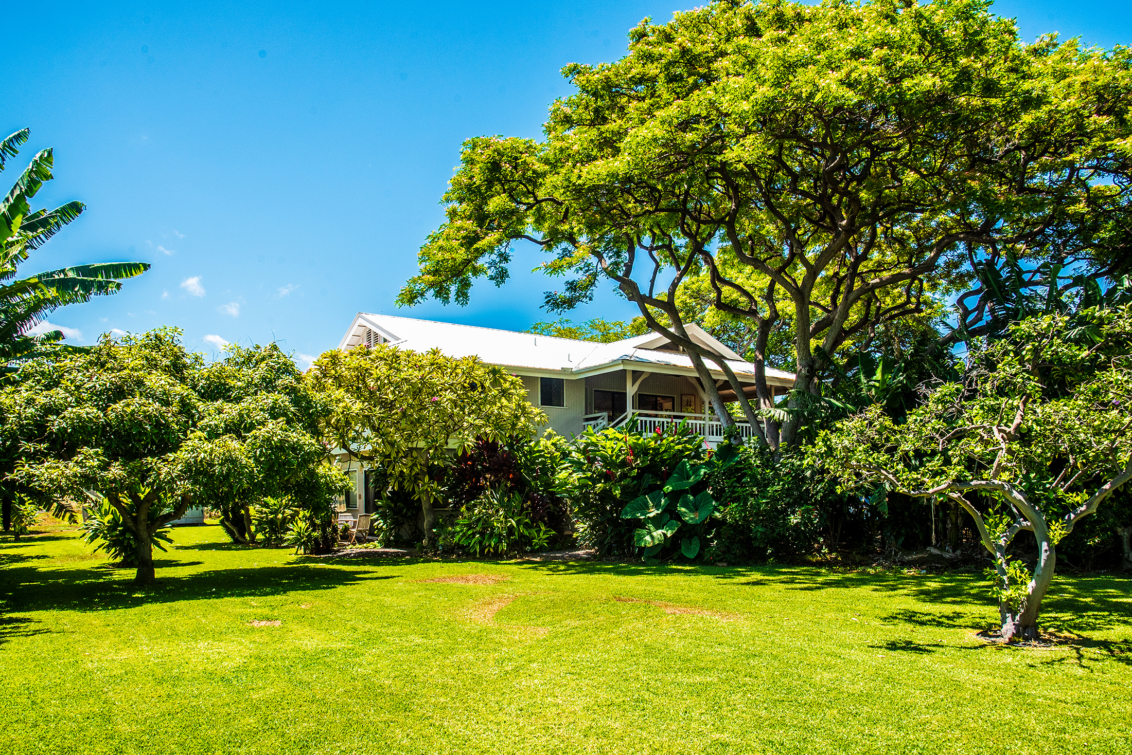 Puako home front yard