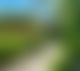 Island Living Made Easy: Top Reasons to Buy a Condo on the Big Island