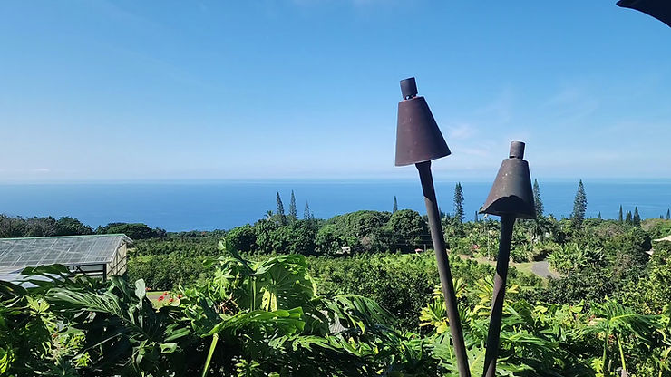 Two tiki torches overlook a lush tropical garden and blue ocean under a clear sky.