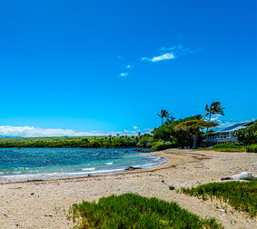 Hawaii Real Estate Market: Key Insights from Hawaii Life's Q2 2024 Report