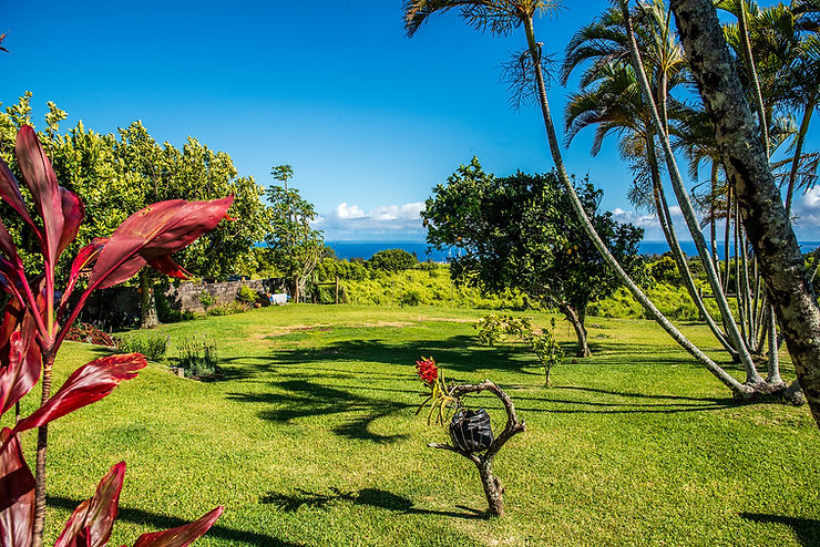 Tropical garden with palm trees, red leaves, and a green lawn overlooking the ocean under a bright blue sky.
