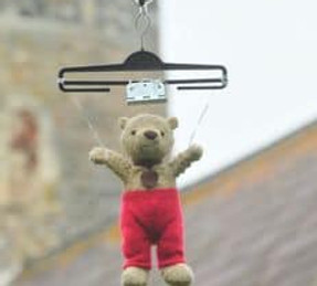 teddy 2.jpg