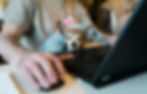 virtual team