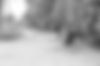 Black and white photo: broom and leaves