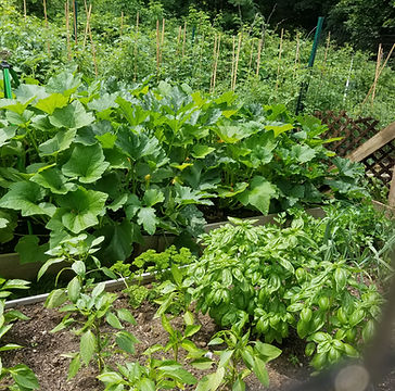 20180701_121004.jpg