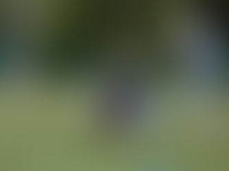 Miten jenkkifutaaja hyödyntää 30 päivän teho-ohjelmaa?